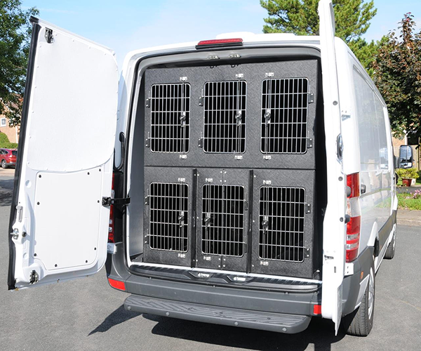 girls-partying-in-a-limousine-2025-03-14-16-54-54-utc-1-rl04x8pd3g8fgcnjp378cb9x3hzjfkm5hoz2yahf9k 1 (5)